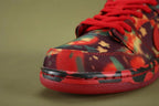 The Wizard of Oz x Dunk Low SB 'Poppy Field' 2024