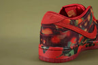 The Wizard of Oz x Dunk Low SB 'Poppy Field' 2024