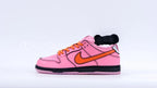 The Powerpuff Girls x Dunk Low Pro SB QS 'Blossom'