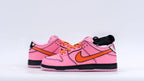 The Powerpuff Girls x Dunk Low Pro SB QS 'Blossom'