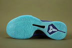 Kobe 5 Protro X-Ray