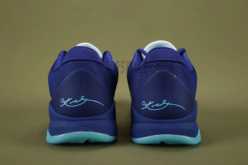 Kobe 5 Protro X-Ray