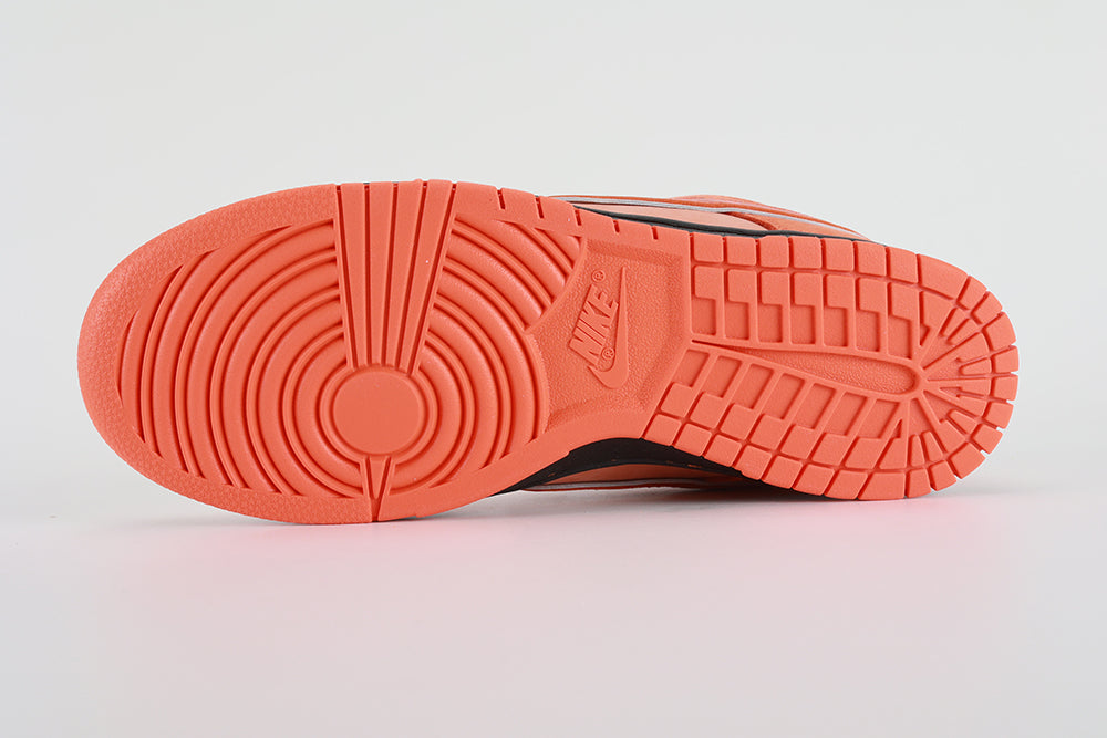 Concepts x Dunk Low SB Orange Lobster - image 2