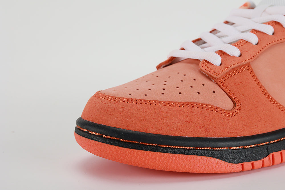 Concepts x Dunk Low SB Orange Lobster - image 3