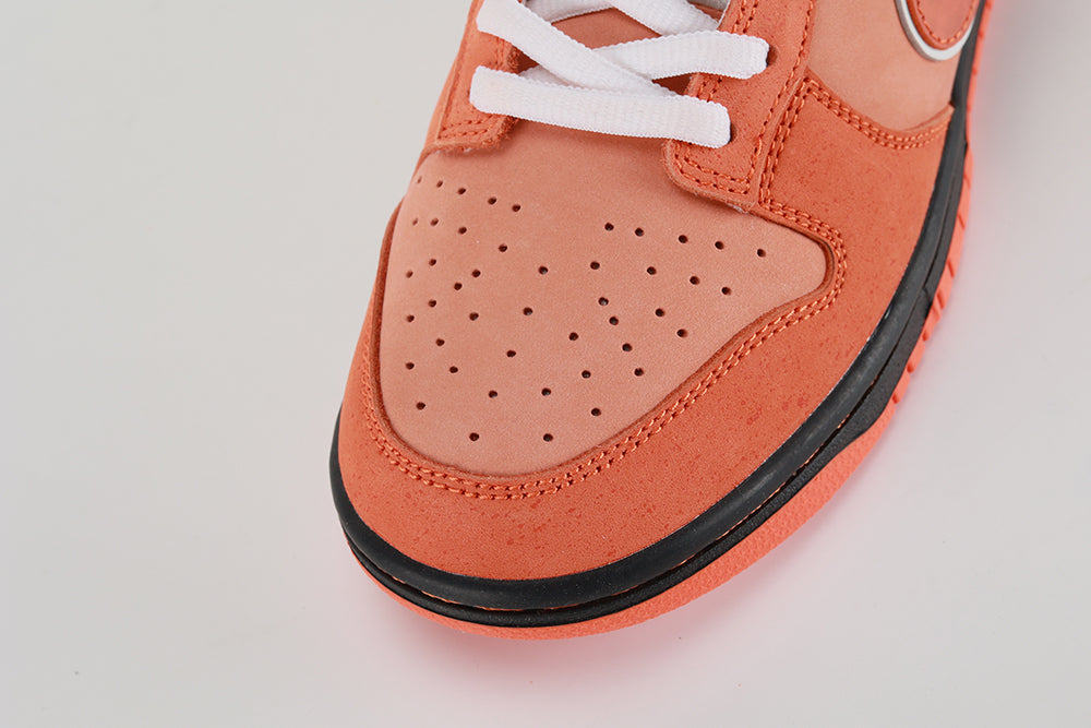 Concepts x Dunk Low SB Orange Lobster - image 4