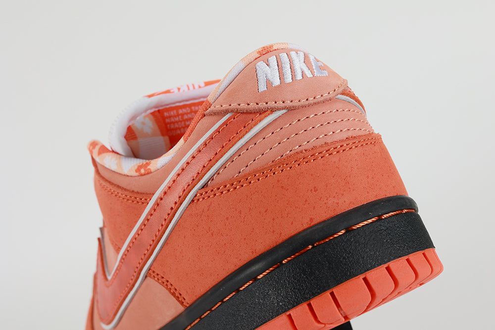 Concepts x Dunk Low SB Orange Lobster - image 6