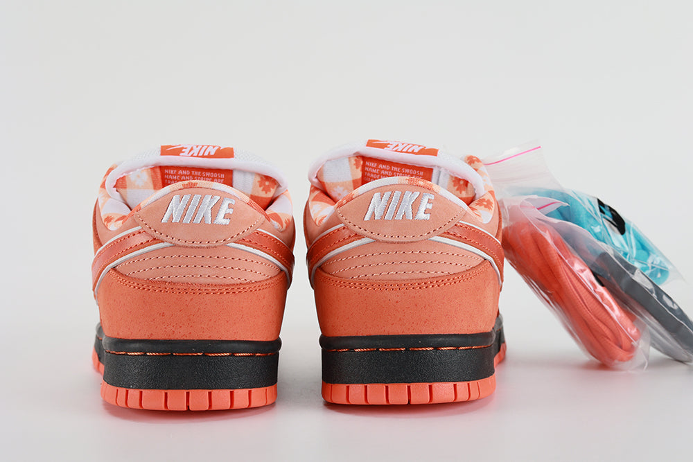 Concepts x Dunk Low SB Orange Lobster - image 7