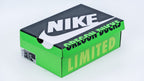 Dunk Low ‘University of Oregon’ PE - image 8