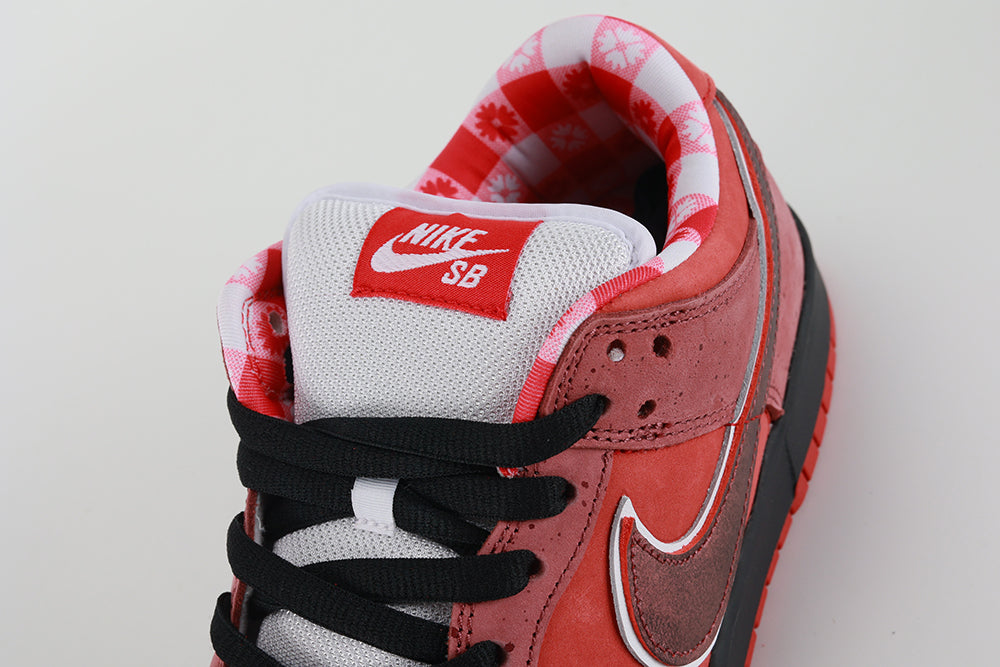 NK SB Dunk Low Concepts Red Lobster - image 5