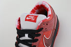 NK SB Dunk Low Concepts Red Lobster - image 5