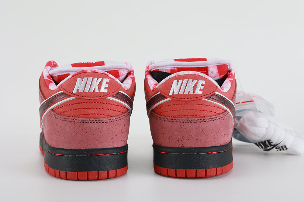 NK SB Dunk Low Concepts Red Lobster - image 7